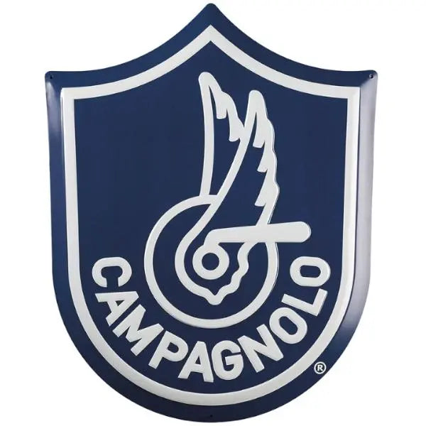 Campagnolo wheels and components