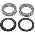 Campagnolo bearings Power Torque crankset replacement bottom bracket set