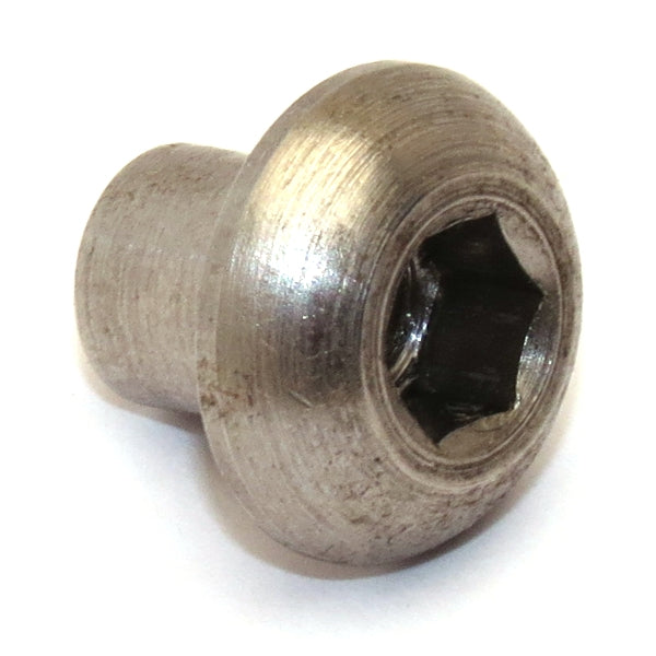 Campagnolo brake screw and nut genuine replacement hardware for road bikes