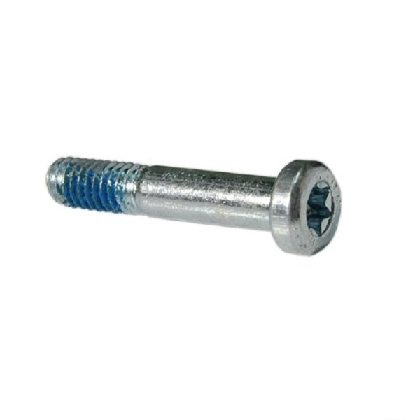 Campagnolo shifter parts genuine replacement components for road bike gear systems